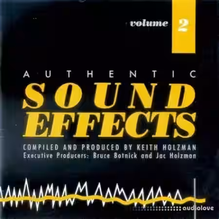Authentic Sound Effects Vol.2 [FLAC] - Sample Pack Artwork