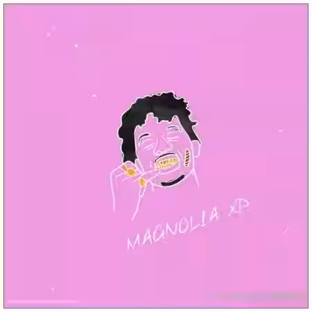 Ave Mcree Magnolia [Synth Presets] - Sample Pack Artwork