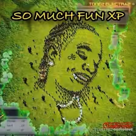 Ave Mcree So Much Fun XP for Tone2 ElectraX 1.4 or Higher [Synth Presets] - Sample Pack Artwork
