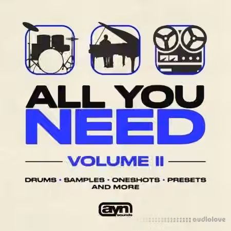 AYN Sounds All You Need Vol. II [WAV, MiDi, Synth Presets] - Sample Pack Artwork