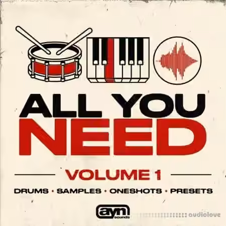 AYN Sounds All You Need Vol.1 (Multi-Kit) [WAV, Synth Presets] - Sample Pack Artwork