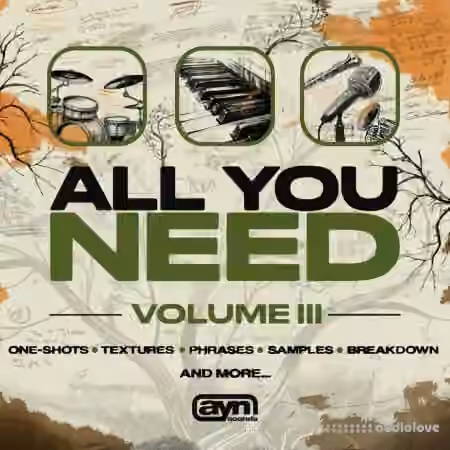 AYN Sounds All You Need Vol.3 Full Bundle [WAV, MiDi, Synth Presets] - Sample Pack Artwork