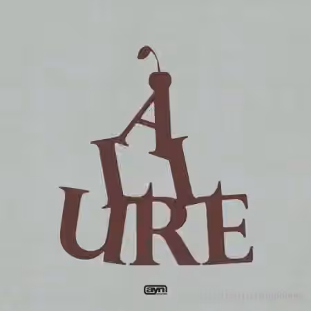 AYN Sounds Allure Multi-Kit [WAV, Synth Presets] - Sample Pack Artwork