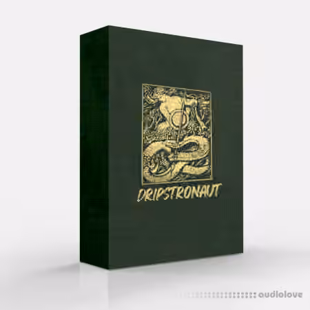 Ayy Walker Dripstronaut Drum Kit / Loop Kit [WAV, DAW Templates] - Sample Pack Artwork