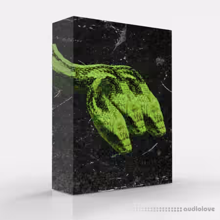 Ayy Walker The Slime Saint Vol.2 [WAV] - Sample Pack Artwork