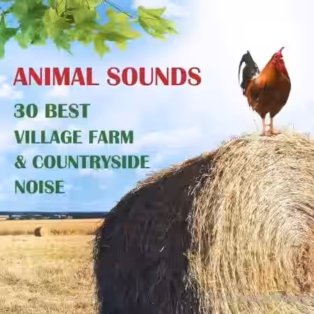 Background Music Records Animal Sounds 30 Best Village Farm and Countryside Noise from Europe [FLAC] - Sample Pack Artwork