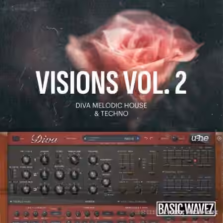 Baisc Wavez Analog Explorations Vol.2 [Synth Presets] - Sample Pack Artwork