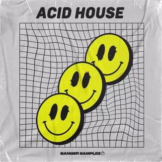 Banger Samples Acid House [WAV, REX, MiDi]