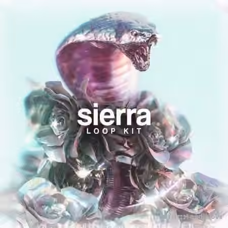 Based1 Sierra Loop Kit [WAV] - Sample Pack Artwork