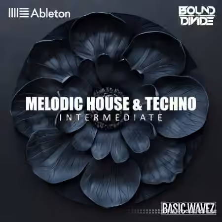 Basic Wavez (Intermediate) Write 2 Melodic House and Techno Tracks with Bound to Divide [TUTORiAL] - Sample Pack Artwork