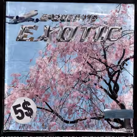 Basobeats Exotic Sample Pack [WAV] - Sample Pack Artwork