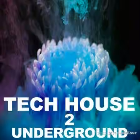 Beatrising Tech House Underground 2 [WAV] - Sample Pack Artwork