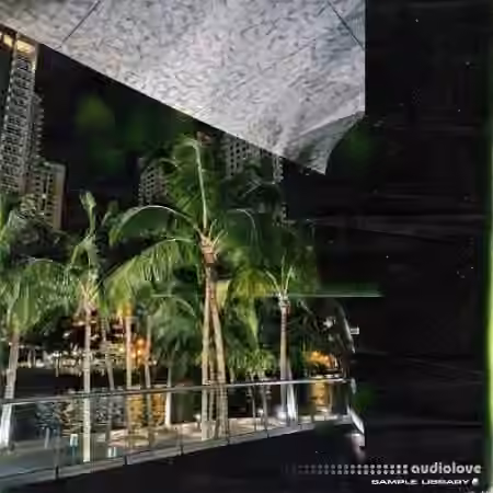 beatsbycarpp Vibes Outta Miami [WAV] - Sample Pack Artwork