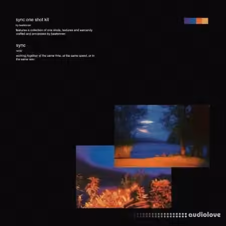 Beatsinner Sync One Shot Kit [WAV] - Sample Pack Artwork