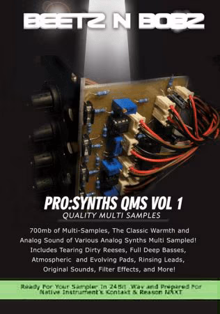 Beetz N Bobz Pro Synths QMS Vol.1 [KONTAKT]