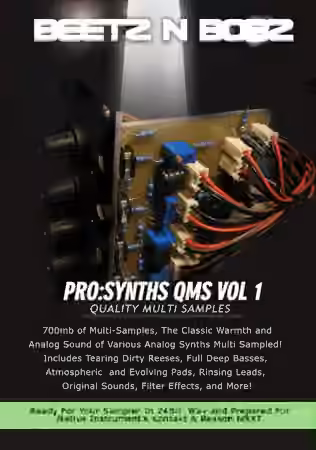 Beetz N Bobz Pro Synths QMS Vol.1 [KONTAKT] - Sample Pack Artwork
