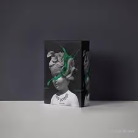 BELDONDIDTHAT Drip Harder (Loop Kit) [WAV] - Sample Pack Artwork