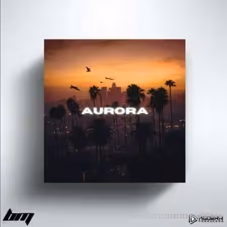 BenzMuzik Aurora [WAV, MiDi] - Sample Pack Artwork