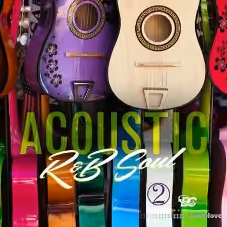Big Citi Loops Acoustic R&B Soul 2 [WAV] - Sample Pack Artwork