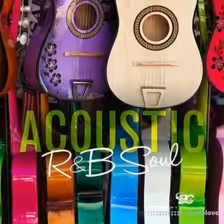 Big Citi Loops Acoustic RnB Soul [WAV] - Sample Pack Artwork