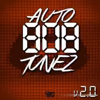 Big Citi Loops Auto 808 TuneZ Vol 2 [WAV]