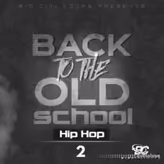 Big Citi Loops Back To The Old School: Hip Hop 2 [WAV]