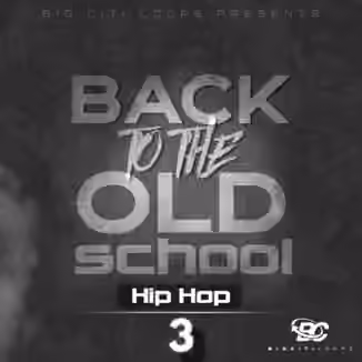 Big Citi Loops Back To The Old School: Hip Hop 3 [WAV]