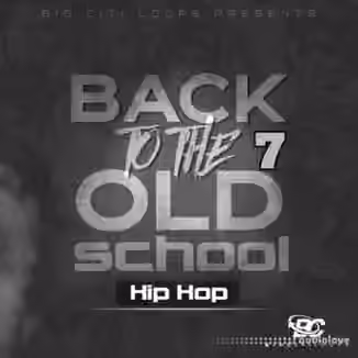 Big Citi Loops Back To The Old School: Hip Hop 7 [WAV]