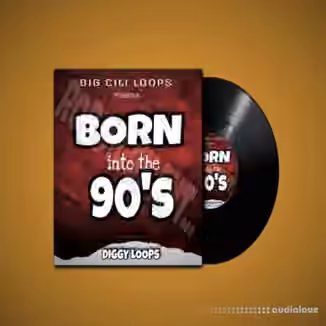 Big Citi Loops Born Into The 90's [WAV]