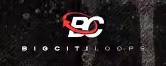 Big Citi Loops BUNDLE 67-in-1 [WAV]