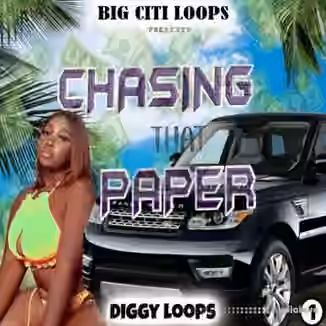 Big Citi Loops Chasing The Paper [WAV]