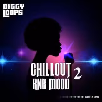 Big Citi Loops Chillout RnB Mood 2 [WAV]