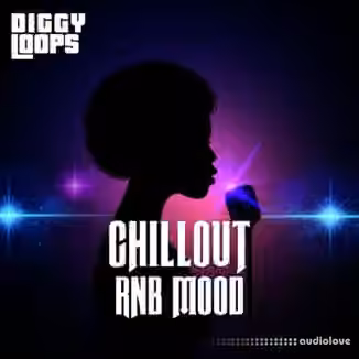Big Citi Loops Chillout RnB Mood [WAV]