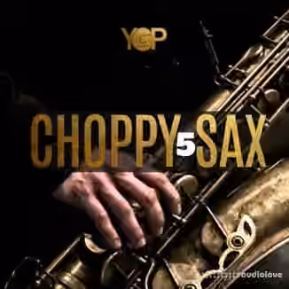 Big Citi Loops Choppy Sax 5 [WAV]