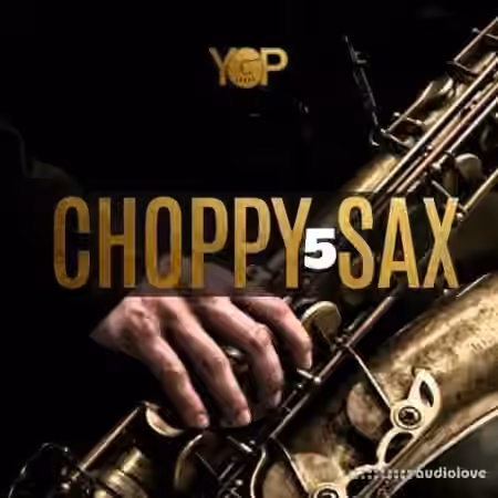 Big Citi Loops Choppy Sax 5 [WAV] - Sample Pack Artwork
