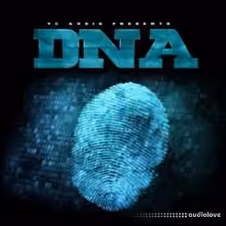 Big Citi Loops DNA [WAV]