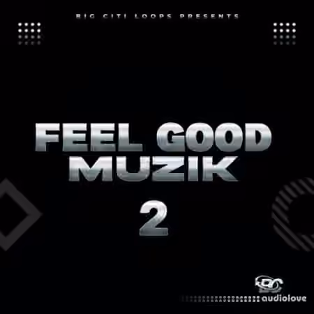 Big Citi Loops FEEL GOOD MUZIK 2 [WAV] - Sample Pack Artwork