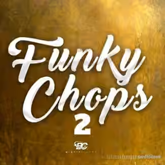 Big Citi Loops Funky Chops 2 [WAV]