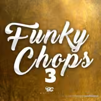 Big Citi Loops Funky Chops 3 [WAV]
