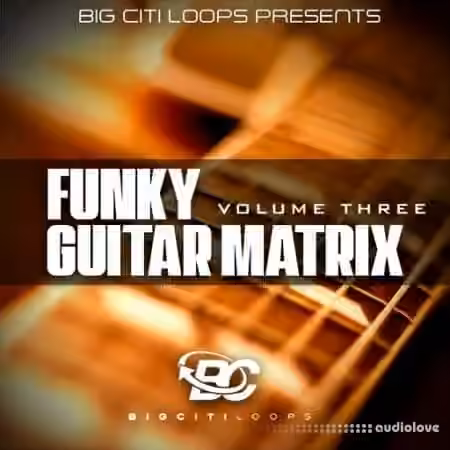 Big Citi Loops Funky Guitar Matrix Vol 3 [WAV] - Sample Pack Artwork