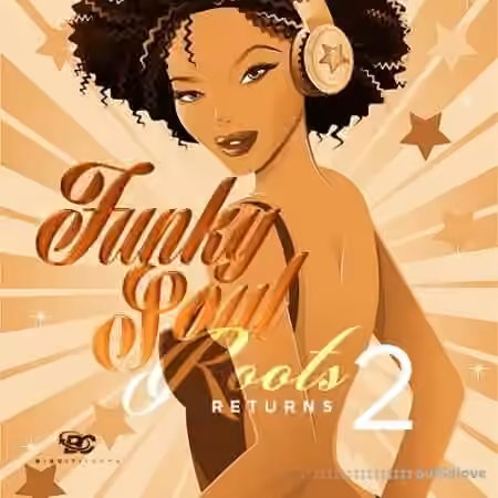 Big Citi Loops Funky Soul Roots Returns 2 [WAV] - Sample Pack Artwork