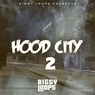 Big Citi Loops HOOD CITY 2 [WAV]