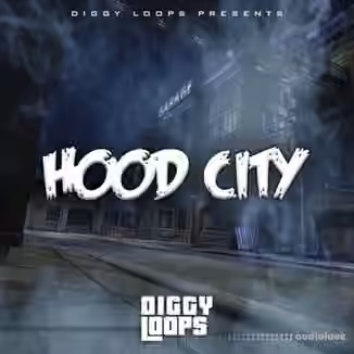 Big Citi Loops HOOD CITY [WAV]