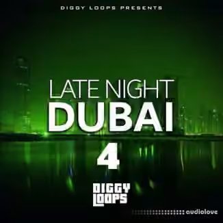 Big Citi Loops Late Night Dubai 4 [WAV]