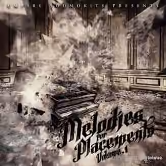 Big Citi Loops Melodies For Placements Vol 1 [WAV]