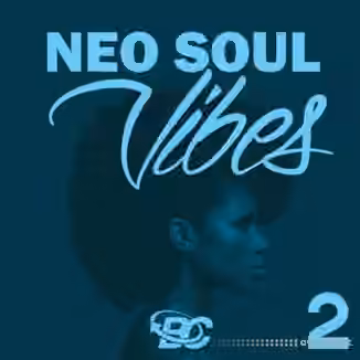Big Citi Loops Neo Soul Vibes 2 [WAV]