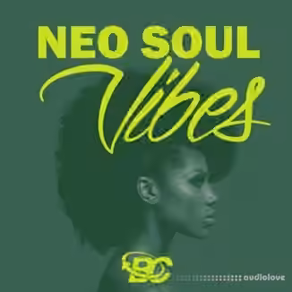 Big Citi Loops Neo Soul Vibes [WAV]