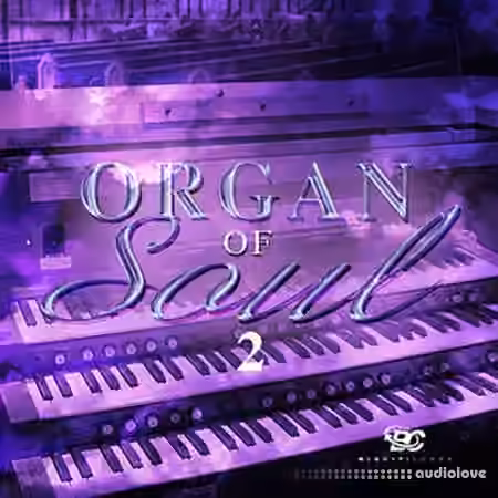 Big Citi Loops Organ Of Soul 2 [WAV] - Sample Pack Artwork