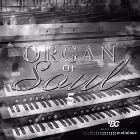 Big Citi Loops Organ Of Soul 5 [WAV] - Sample Pack Artwork