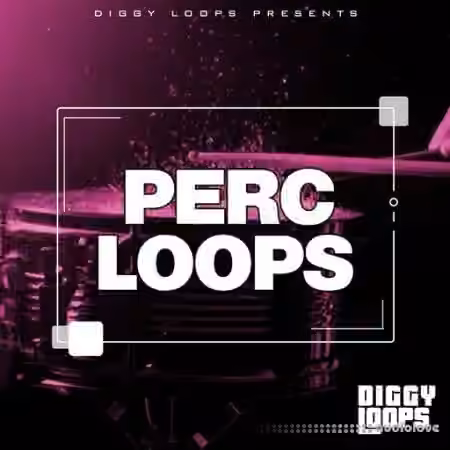 Big Citi Loops Perc Loops [WAV] - Sample Pack Artwork